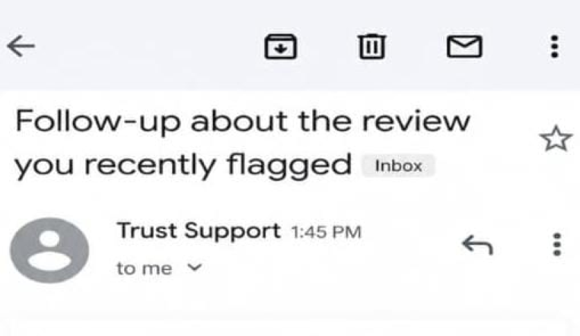 We remove fake, spam trustpilot reviews