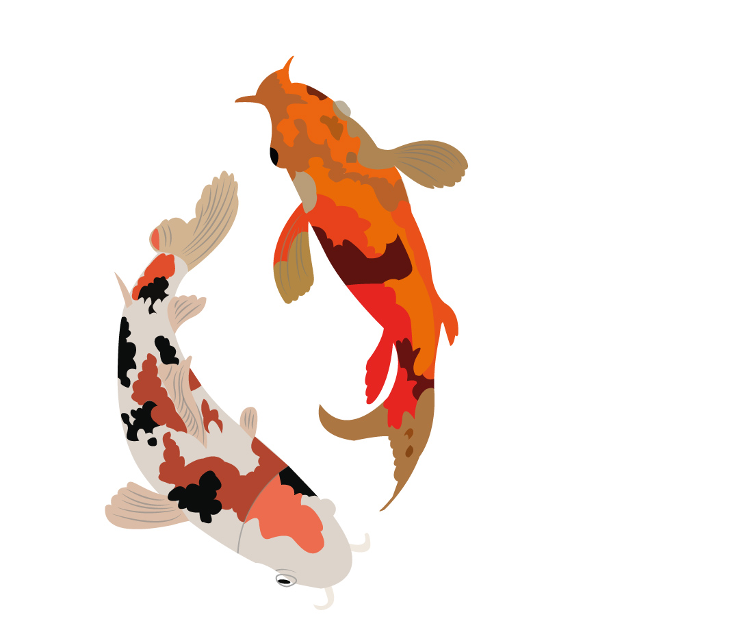 illustration-art-legiit