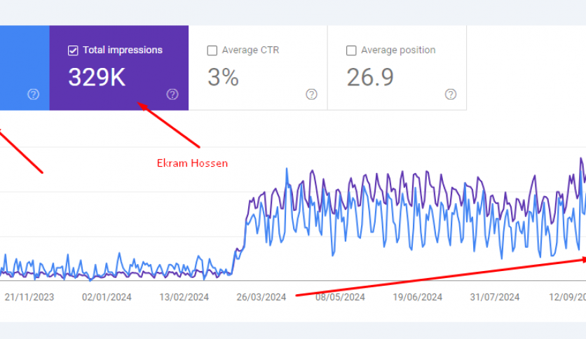 445% Traffic Increase For Health Services Website