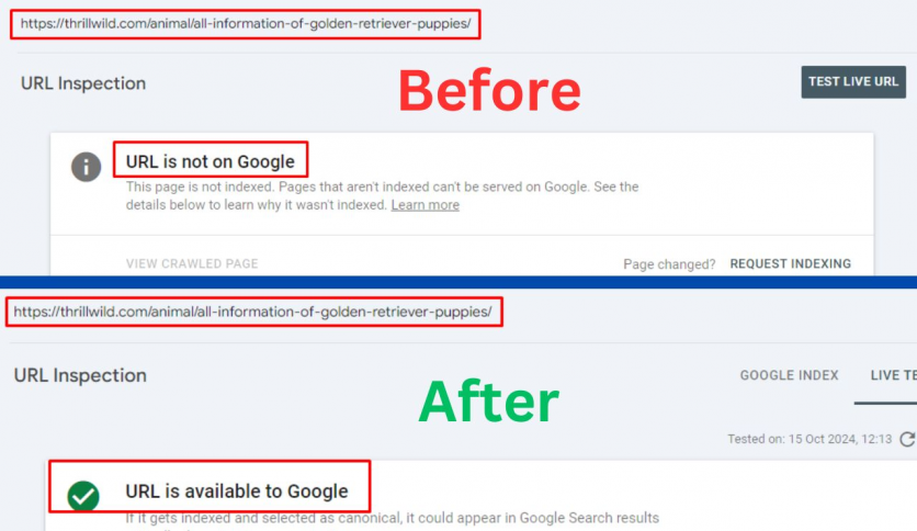 Technical Seo (Solve page indexing problem)