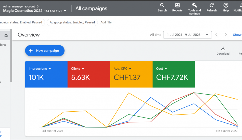Google Ads Campaign Setup & Management