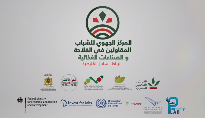 Advanced Young Entrepreneurs In Agriculture Website